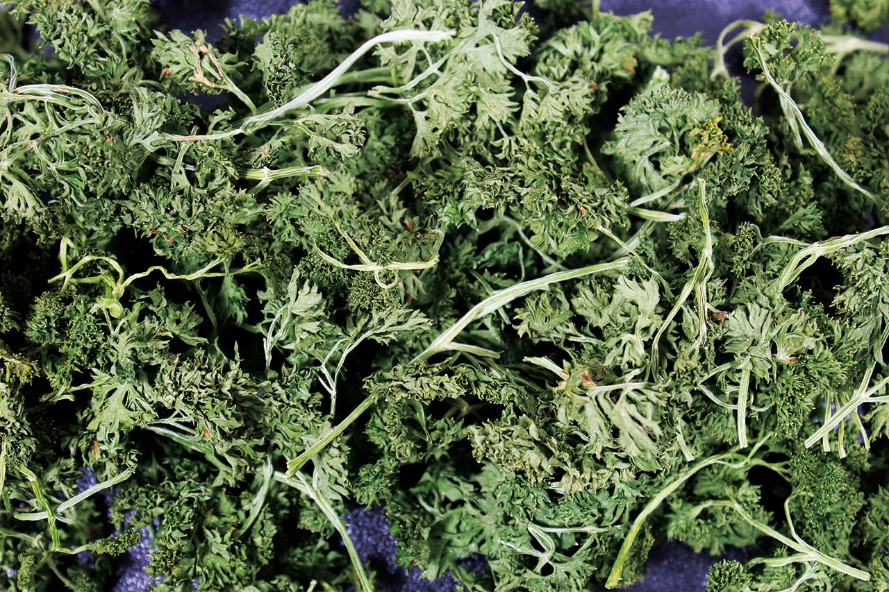 JR Farm Persillesalat 50 g